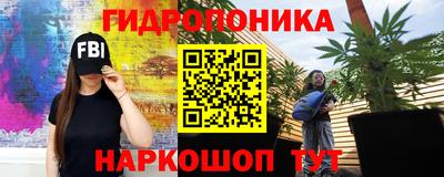 крисы Можайск