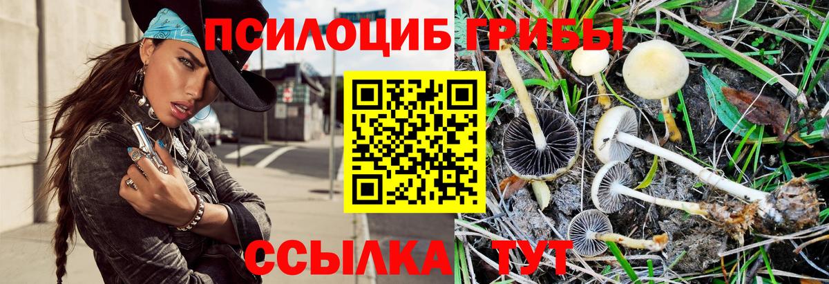 Псилоцибиновые грибы GOLDEN TEACHER Белгород