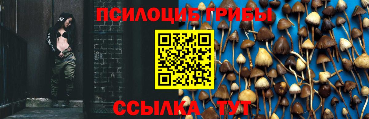 Белгород  Галлюциногенные грибы мицелий  Вход с VPN 